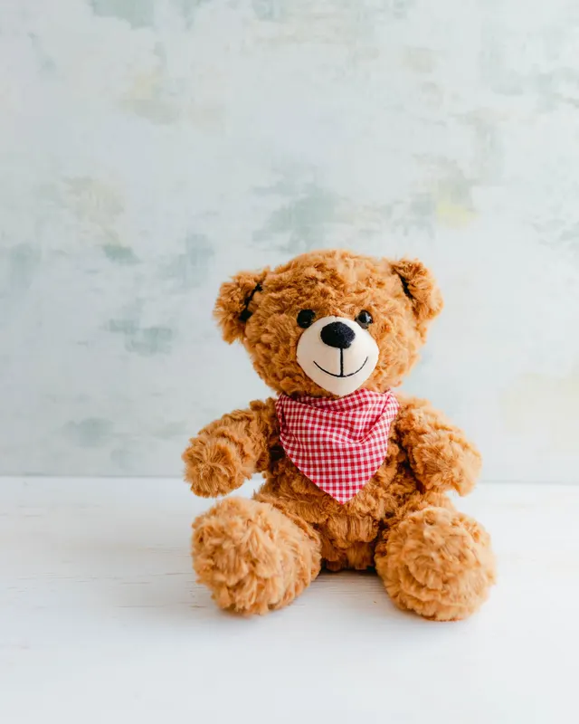 Symbolbild: Teddybär mit rotkariertem Halstuch vor hellem Hintergrund